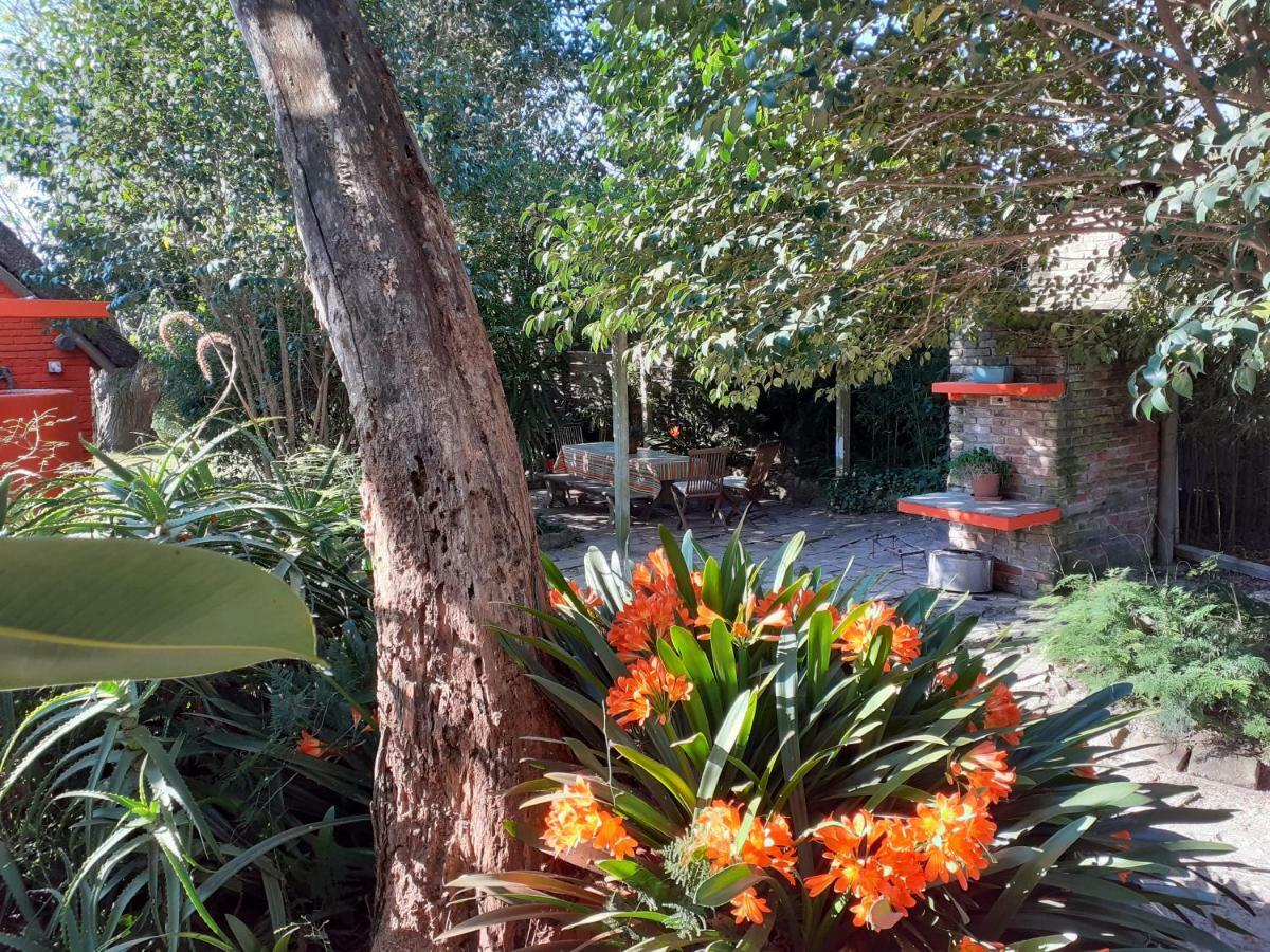 La Cabana Atlántida Exterior foto
