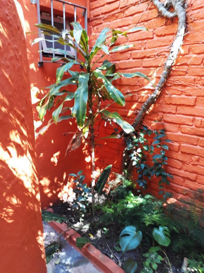 La Cabana Atlántida Exterior foto